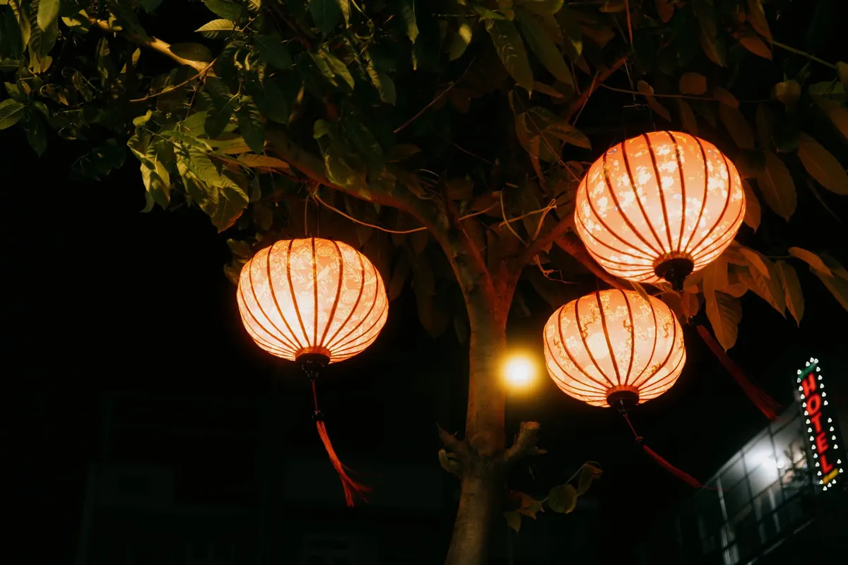 Hanging Lanterns in Trees: Heights, Hardware, and Wind Safety